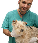 Eläinlääkäripalvelu FARMI ELPF